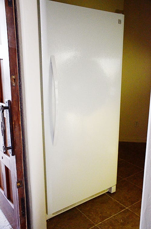 the big freezer that made us widen the pantry doorway